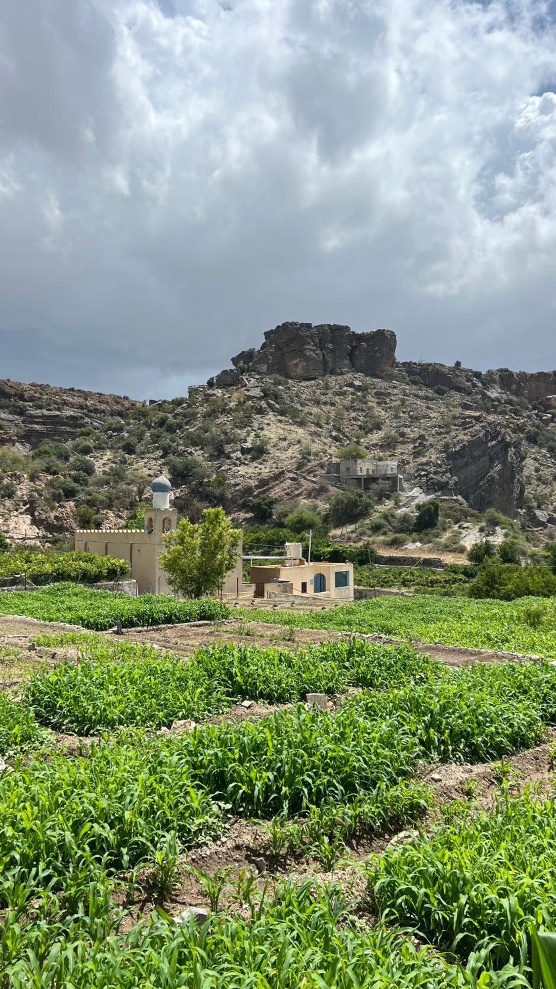 The Suwgra-Al-Jabal Al-Akdar Hotel Saqrah Exterior photo